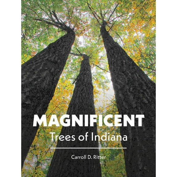 Magnificent Trees of Indiana (Hardcover)