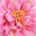 thumbnail image 6 of 18pcs Women Hair Clips Flower Hairpins Small Hair Clips Flower Hair Accessories for Teen Girls, 6 of 7