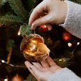 thumbnail image 5 of ERTZAE Acorn Animal Ornament,Sleeping Animal Decor,Warm Glow Nature Accent,Cozy Rustic Ornament,Animal-In-Acorn Prop,Festive Tabletop Decor,Nature-Lover Gift,Christmas Hanging Decor A+B+C, 5 of 9