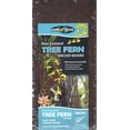thumbnail image 2 of Fern Wood New Zealand Tree Fern Orchid Board Panel 12x6x1 Twin Pack, 2 of 4