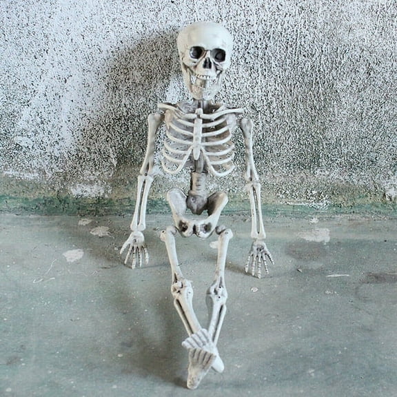 Ma&Baby 15'' Halloween skull bones Poseable Human Skeleton Halloween Decoration Party Prop