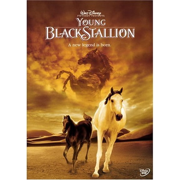 The Young Black Stallion (DVD)