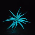 thumbnail image 4 of Glow Plant (Glow in the Dark) - (Tillandsia Abdita- Blue), 4 of 4