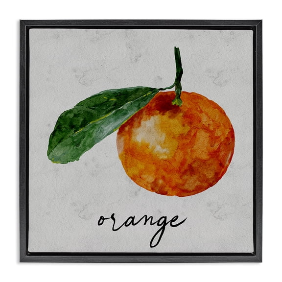 Stupell Industries French Country Vintage Orange with Leaf Black Floating Frame Canvas Art, 18 x 18, by Regina Moore