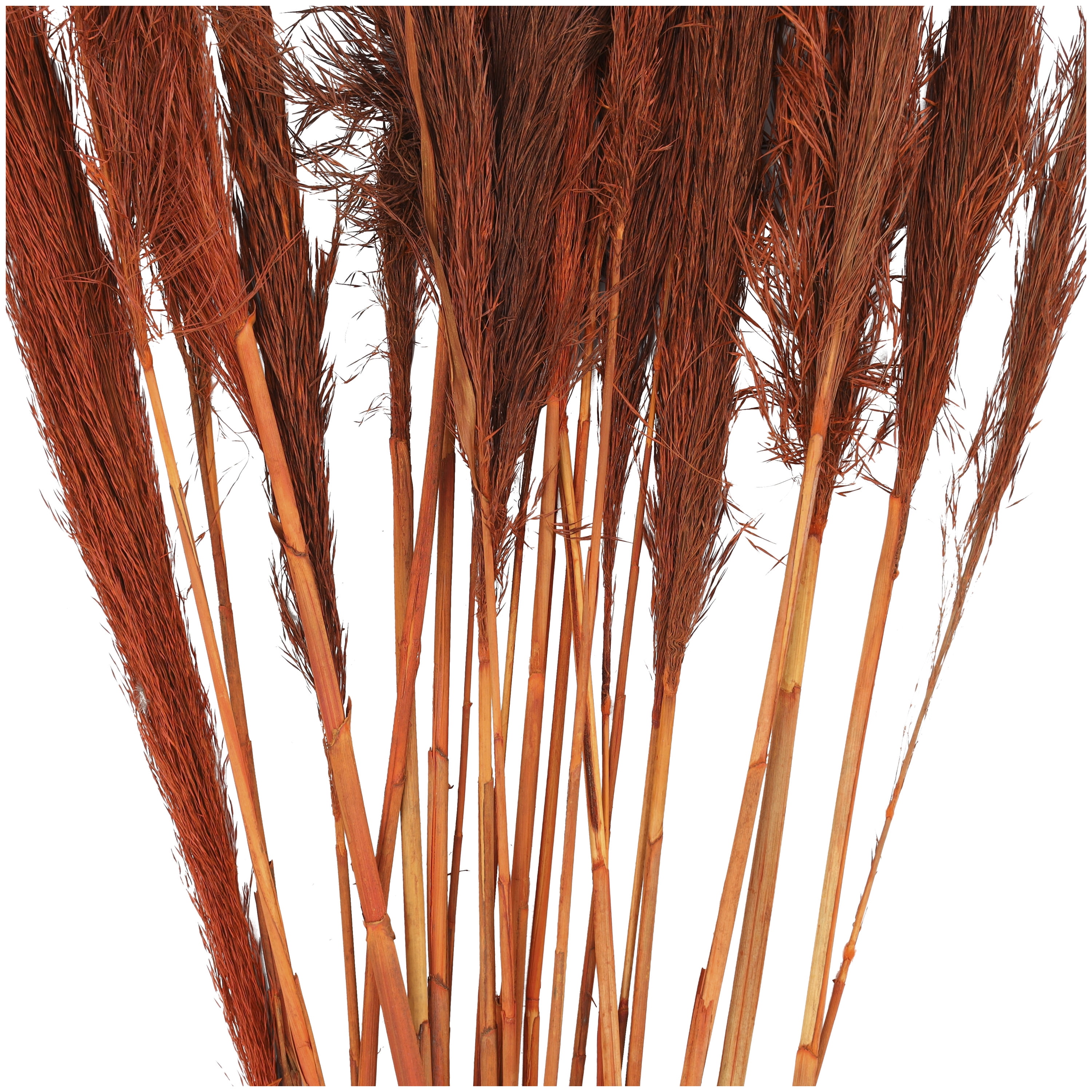 35" Tall Dried Plant Natural Foliage Pampas Grass Bouquet, by DecMode