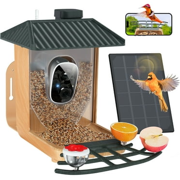 Upgraded Smart Bird Feeder with Camera, EVMORE 1080P HD Outdoor Bird Feeder, AI Auto-Capture & Motion Detection, AI Identify 11000  Birds,Ideal Gift for Bird Lovers