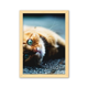 thumbnail image 1 of Animal puro azul ojo gato fotografía Cuadro de madera decorativa marco de casa A4, 1 of 3
