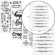 thumbnail image 3 of Seitruly Sellos transparentes para aula, 4 Uds., papelería de sellos de plástico, accesorio estándar para álbum de recortes, decoración de sellos Suministros de escritura y corrección, 3 of 6