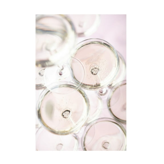 Trademark Fine Art Pictufy Studio Champagne Tower 3 Canvas Wall Art