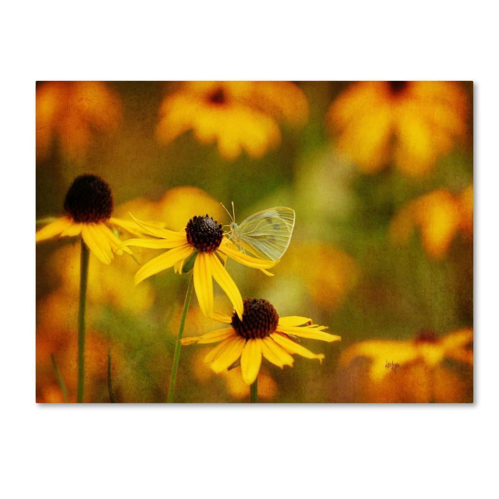 Trademark Fine Art "Abundance" Canvas Art by Lois Bryan