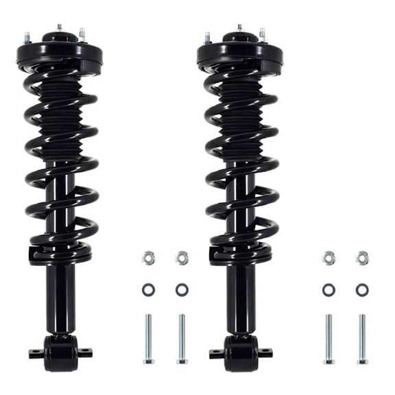 For Ford Expedition 2018-2022 Pair Front Shock Strut w/ Spring - BuyAutoParts