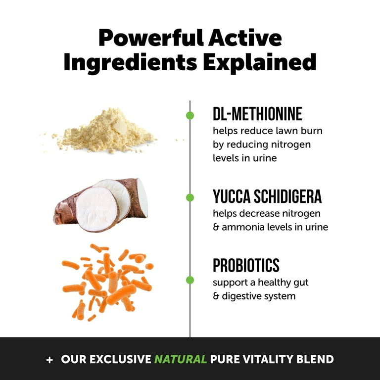 Yucca powder for dogs sales