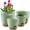 Green, variant on Lopxenu Plant Pots 7/6.5/6/5.5/5 Inch Self Watering Pots, Set of 5 Plastic Planters with Drainage Holes and Saucers,Plastic Flower Pots,Nursery Planting Pot for Indoor Out Door Plants (Green)