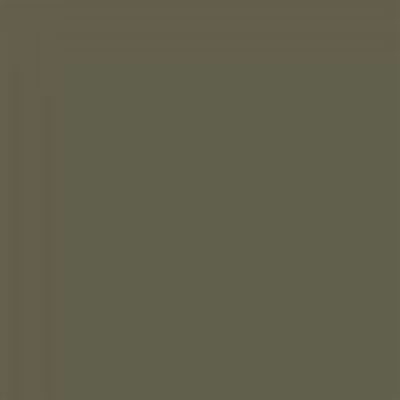 Rust-Oleum 249322 Dark Green Rust Inhibitive Auto Body Paint, Flat/Matte, 0.92 lb for Car Non- specific 1 Piece 1 Pack
