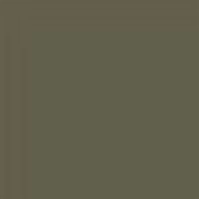 Rust-Oleum Automotive Self Etching Primer Spray, Dark Green photo 2