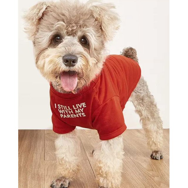 Linda Ropa Para Perros, Camiseta Para Perros Medianos. Ropa Para Perros Pequeños, Niñas, Niños, Cachorros. Disfraz De Perro Suave Y Transpirable, Para Mascotas, Perros, Gatos, Jersey Para Mascotas, Ro
