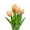 Champagne, variant on Set of 6 Real Touch Artificial Tulip Stems, 20 inches Tall