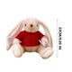 thumbnail image 3 of Fiudx Conejito de Peluche, Suave y Tierno, Regalo de Apoyo Emocional, Adorable Juguete para Amigos, Familiares y Novias, Ideal para Todas Las Edades, Ideal para Momentos Acogedores, 25 Cm., 3 of 5