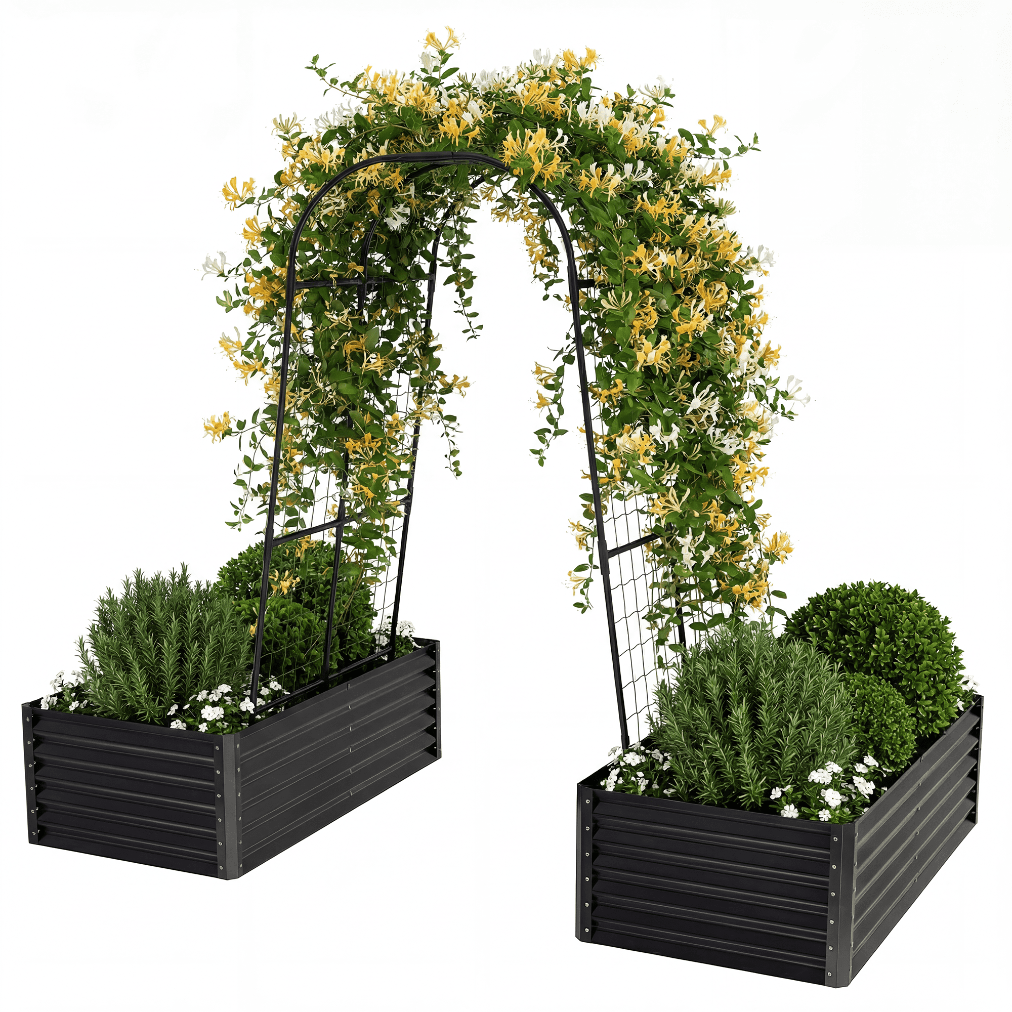 Uforic 2-Pack Galvanized Raised Garden Bed 6x3x1.5ft with Trellis, Gloves, Outdoor Planter Box Black