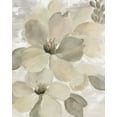thumbnail image 2 of Vassileva, Silvia 12x14 Black Ornate Wood Framed with Double Matting Museum Art Print Titled - White on White Floral II Crop Neutral, 2 of 4