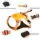 thumbnail image 3 of 2023 NewDog Harness with Retractable Dog Leash as One No-Pull Pet Harness with Adjustable Soft Padded Dog Vest ShopWise Round, 3 of 31
