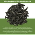 thumbnail image 5 of Horticultural Charcoal for Indoor Plants (1 Quart), Hardwood Soil Additive for Orchids, Terrariums, and Gardening, 5 of 10