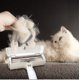 thumbnail image 2 of Removedor de Pelo para Mascotas, Dispositivo de Pegado de Cepillo de Doble Cara, Removedor de Pelo para Mascotas Multifuncional Brushred,11 Feliz Sencillez, 2 of 5