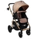 thumbnail image 5 of Carriola Para Bebé Prinsel Gamma Lx Con Portabebé Beige, 5 of 12