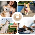 thumbnail image 2 of Shisuyan Dog Bibs Embroidery Beige Saliva Protection 1Set for Festival, 2 of 8