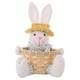thumbnail image 1 of Figura de conejo de Pascua con cesta para guardar dulces, cubo para huevos, recuerdo de fiesta de Pascua, 1 of 5