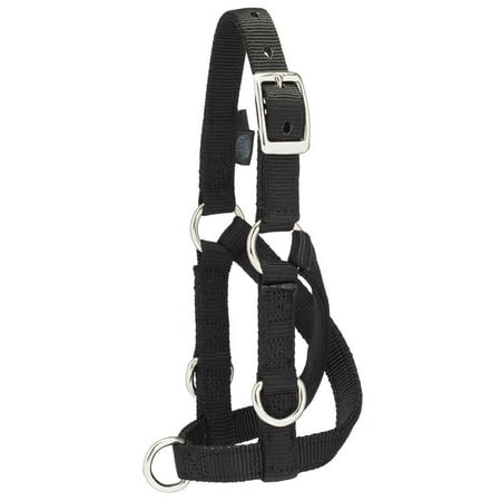 - Weaver Leather Sheep/Goat Training Halter Medium MEDIUM Black