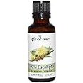 thumbnail image 2 of Cococare Cococare Aceite de masaje 100% eucalipto - 1 Oz 1 Fl Oz, 2 of 2