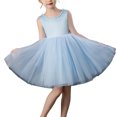 thumbnail image 3 of Bwiyojiz Robe Formelle pour Enfants Tailles 100-150 Sans Manches en Mousseline Princesse, Bleu, 3 of 4