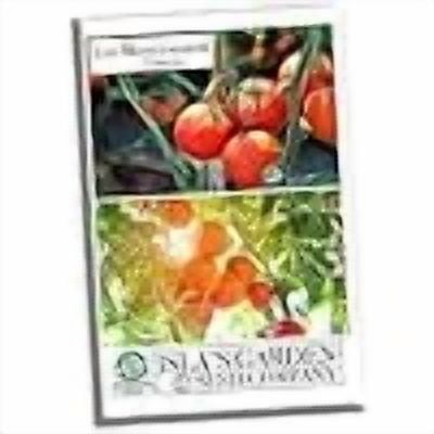 Moneymaker Heirloom Tomato Seeds, 100 Heirloom Seeds Per Packet, Non GMO Seeds, Isla's Garden Seeds