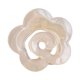 thumbnail image 1 of Pinzas de garra para el pelo de tiburón, pinzas para el pelo, pasador de , adorno para cabello grueso, sujeción fuerte, soporte de cola Yuyangstore pinzas para el cabello, 1 of 8