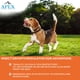 thumbnail image 5 of Prevención de pulgas y garrapatas para perros APEX Plus Small, de 2,3 a 10 kg, 5 of 9