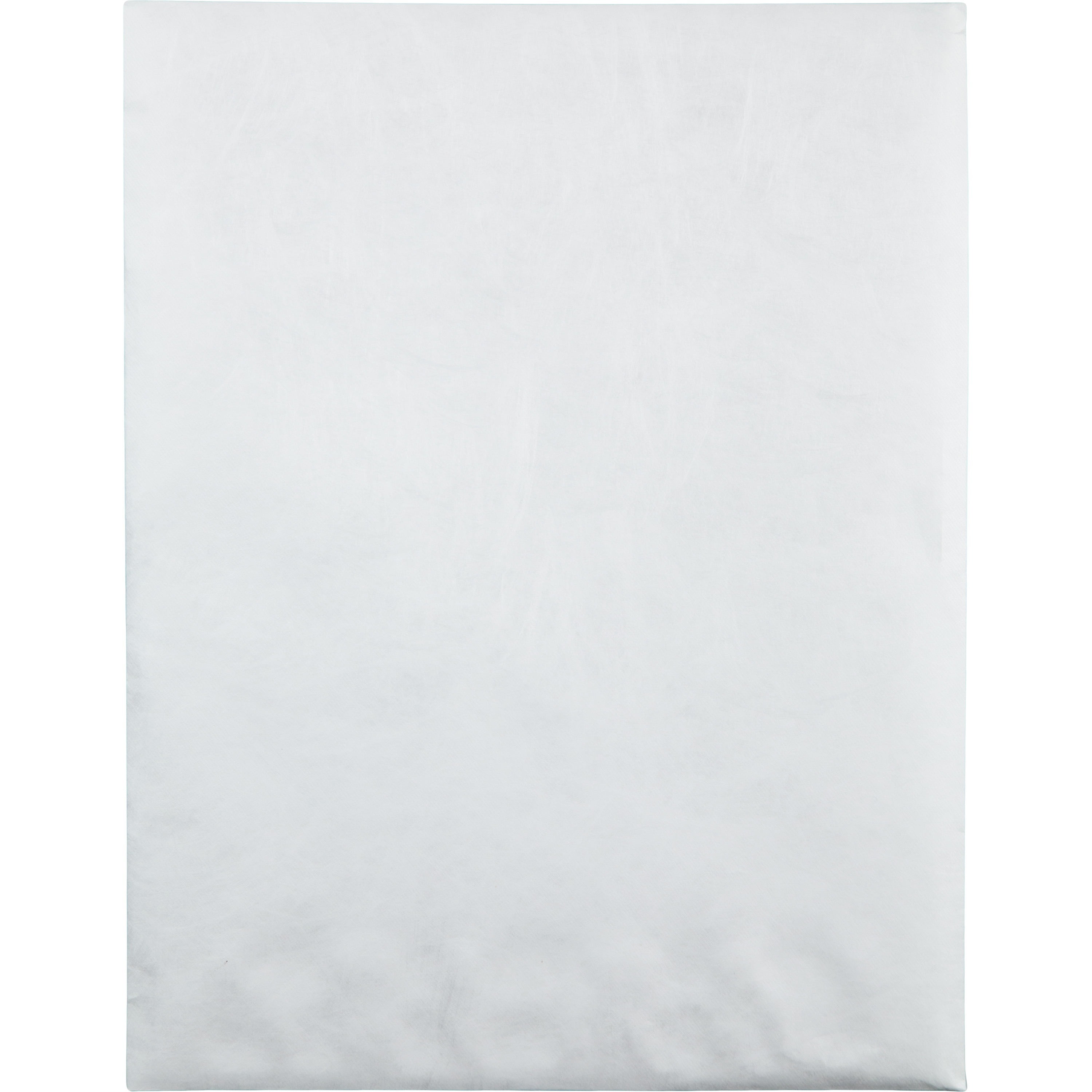Quality Park, QUAR2420, Tyvek Tamper Indicating Envelopes, 100 / Box, White