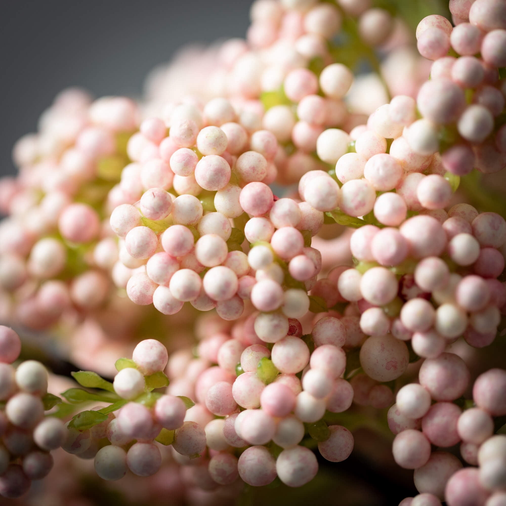 Sullivans 19.25" Artificial Pink Rice Flower Berry Bush