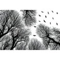 thumbnail image 3 of Damsten, Petri 24x17 Black Modern Framed Museum Art Print Titled - Out To The Open, 3 of 5