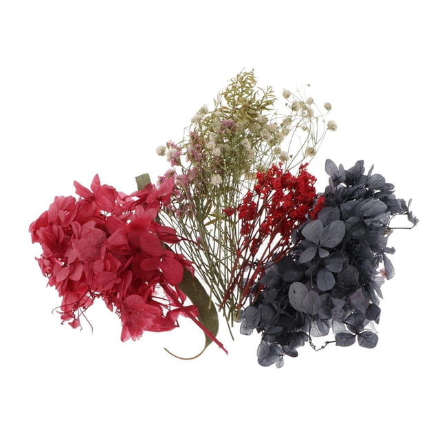 Flores secas das reales hojas multicolor de teléfono de jabón sol Zulema flores de hojas secas naturales