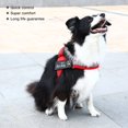 thumbnail image 4 of Chien de Compagnie Réglable Sans Harnais de Traction Collier Réfléchissant Gilet Chien Fournitures, 4 of 8