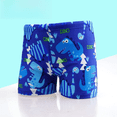 thumbnail image 1 of Traje de baño de dibujos animados para niños, gorro de baño para bebés, conjunto de gorro de baño, pedido especial, tamaño personalizado para niños, 1 of 4