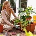 thumbnail image 2 of Bloem Dayton 27" Wide Plastic Planter Box - 100% Recycled Plastic Outdoor Rectangular Pot for Deck, Patio & Porch, Terra Cotta, 3-Pack, 2 of 7