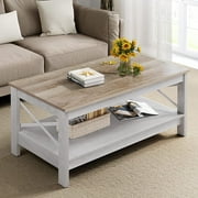 Dextrus Farmhouse Coffee Table 2-Tier Wood Center Table with Storage Shelf for Living Room, Gray, 39.7"