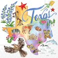 thumbnail image 1 of Boston International IHR 3-Ply Paper Napkins, 20-Count Cocktail Size, Texas, 1 of 2