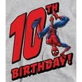 thumbnail image 3 of Spider-Man Boys/Girls Heather Pull Over 10th Birthday Hoodie, 3 of 5