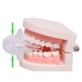 thumbnail image 1 of Anti Snoring Tongue Device Silicone Sleep Apnea Aid Stop Snore Sleeve, 1 of 5