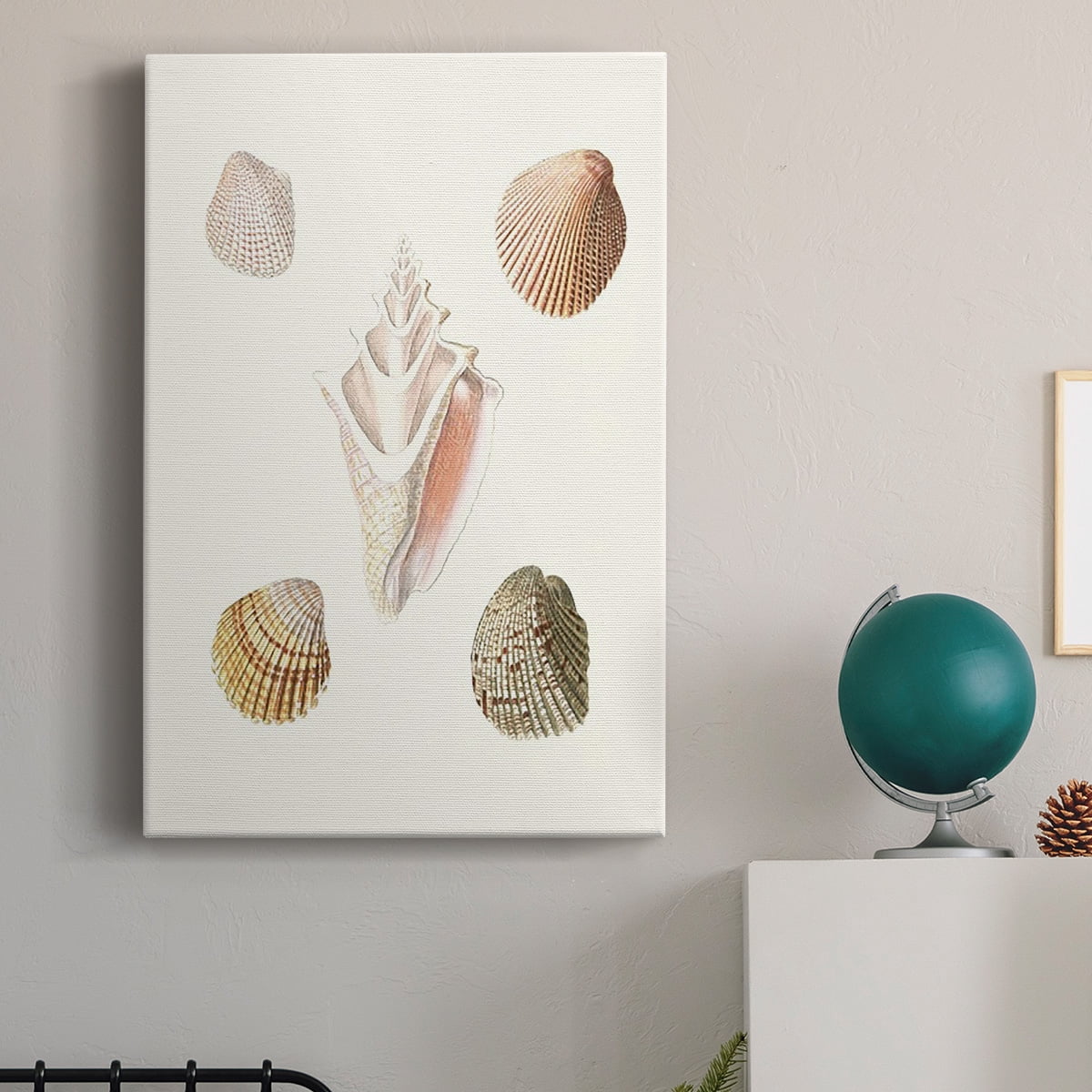 Pastel Knorr Shells IX Premium Gallery Wrapped Canvas - Ready to Hang
