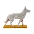 thumbnail image 2 of Modelo de anatomía canina, ayuda didáctica veterinaria, exhibición detallada de puntos de acupuntura canina, modelo de acupuntura corporal canina para, 2 of 8