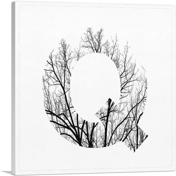 ARTCANVAS Tree Branches Alphabet Letter Q Canvas Art Print - Size: 12" x 12" (0.75" Deep)
